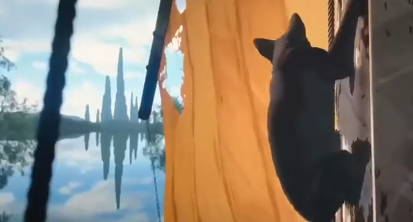 Кот на корабле